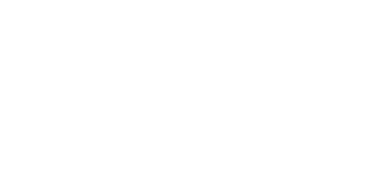 Drive For The Dream logo